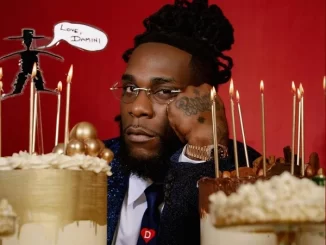 Burna Boy – Love, Damini Album